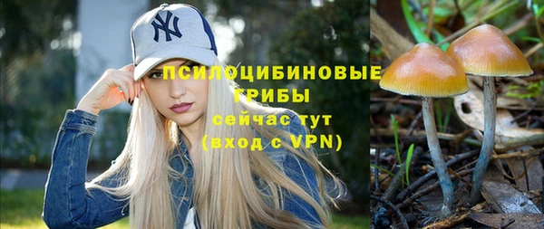 мяу мяу мука Баксан